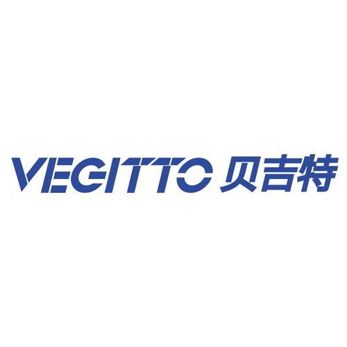 北京贝吉特网络科技 深耕网络技术，赋能数字未来